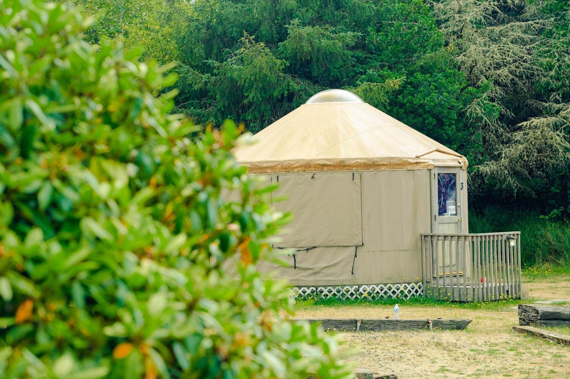 Long Beach Camping Resort Yurt 8 Oceanview 部屋 写真